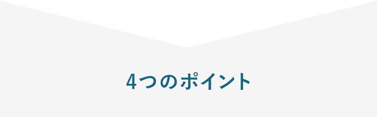 4つのポイント