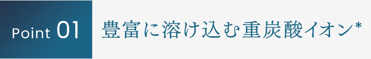 Point 01｜豊富に溶け込む重炭酸イオン*