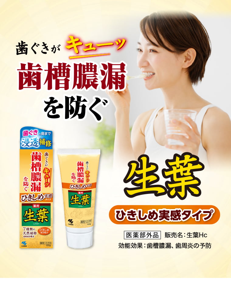 歯ぐきがキューッ歯槽膿漏を防ぐ-生葉ひきしめ実感タイプ