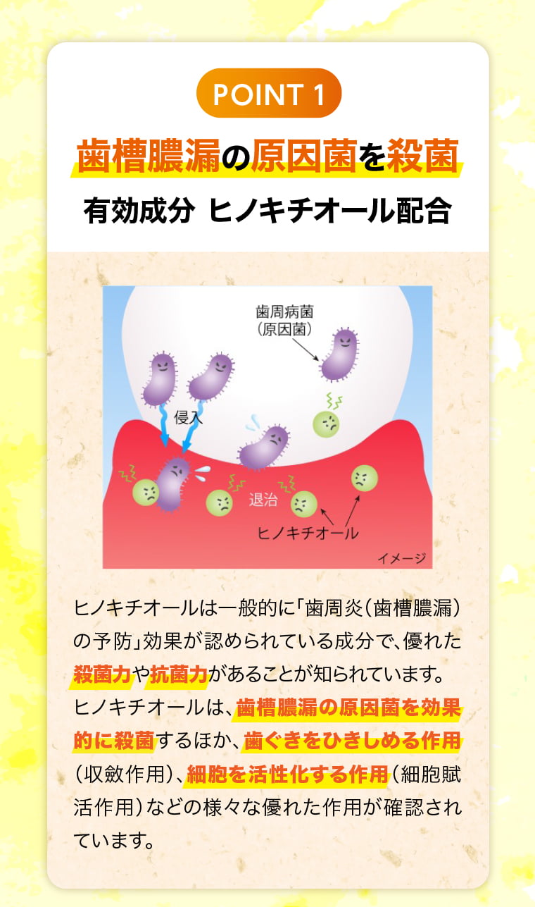 POINT1 - 歯槽膿漏の原因菌を殺菌 有効成分 ヒノキチオール配合