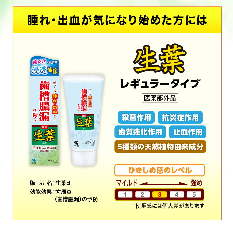 腫れ・出血が気になり始めた方には 生葉レギュラー