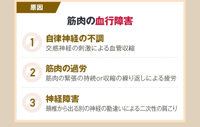 原因：筋肉の血行障害 1：自律神経の不調 2：筋肉の過労 3：神経障害