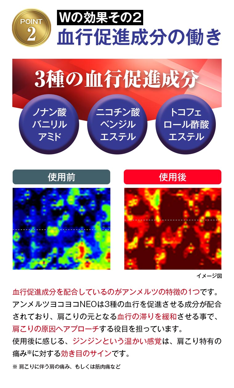 POINT2：血行促進成分の働き