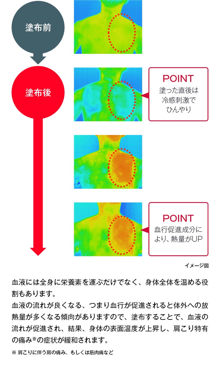アンメルツヨコヨコNEOの塗布前・塗布後のサーモグラフィー