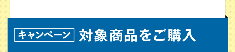 キャンペーン対象商品をご購入