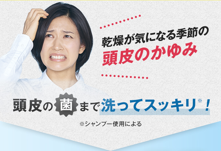 汗ばむ季節の頭皮のかゆみ 頭皮の菌まで洗ってスッキリ! ※シャンプー使用による