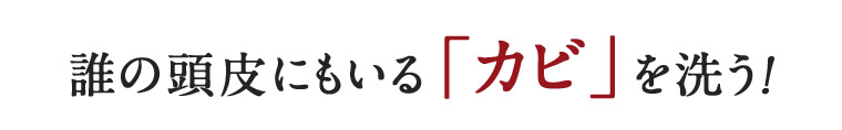 誰の頭皮にもいる 「カビ」を洗う!