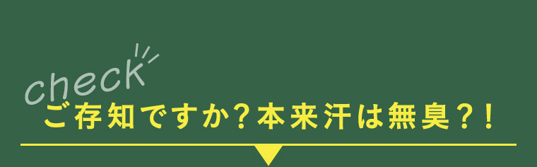 check ご存知ですか? 本来汗は無臭?!
