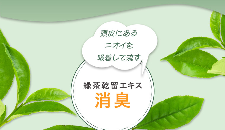 頭皮にあるニオイを吸着して流す 緑茶乾留エキス 消臭