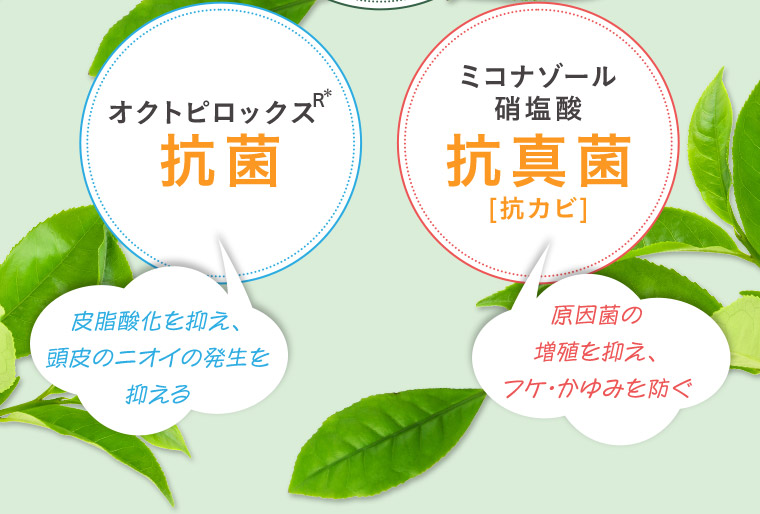 オクトピロックス R 抗菌 皮脂酸化を抑え、頭皮のニオイの発生を抑える ミコナゾール硝塩酸 抗真菌 [抗カビ] 原因菌の増殖を抑え、フケ・かゆみを防ぐ
