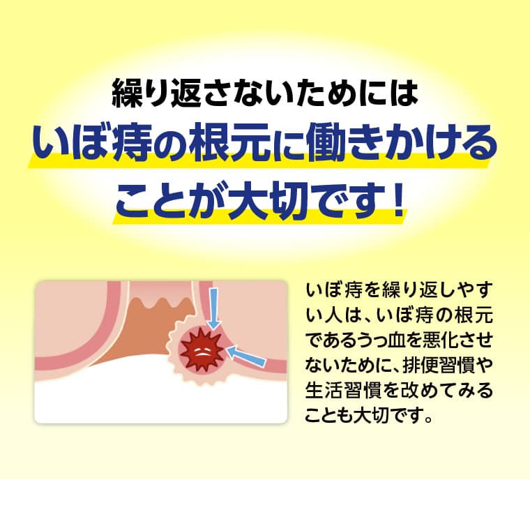 繰り返さないためにはいぼ痔の根元に働きかけることが大切です！