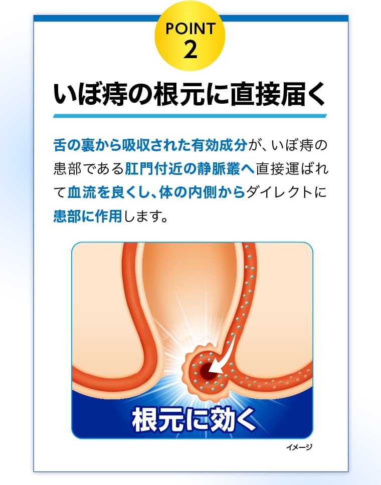 POINT2 - いぼ痔の根元に直接届く