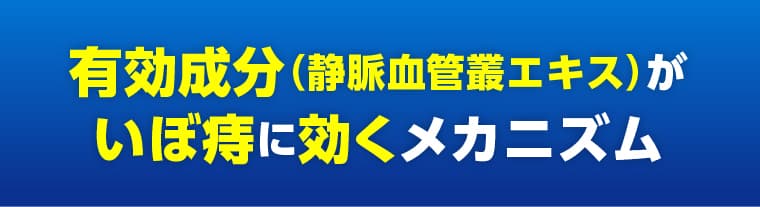 有効成分（静脈血管叢エキス）がいぼ痔に効くメカニズム