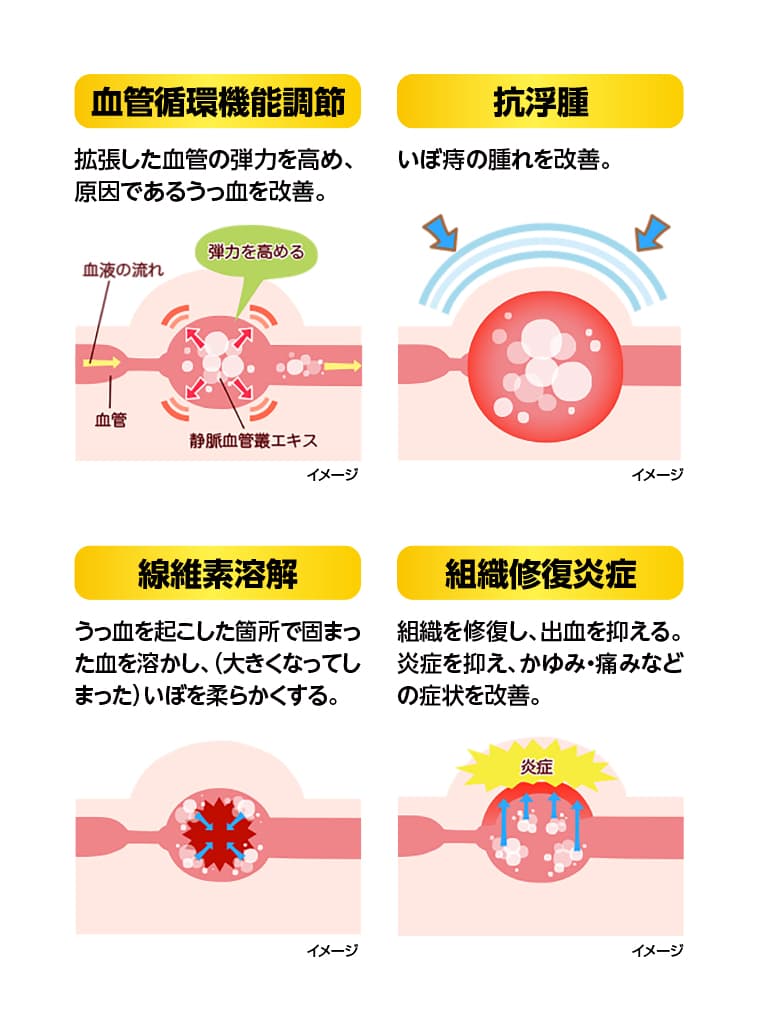 血管循環機能調節 抗浮腫 線維素溶解 組織修復炎症