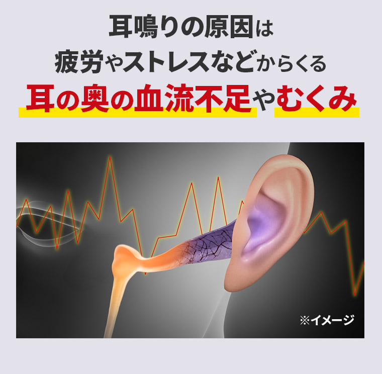 耳鳴りの原因は疲労やストレスなどからくる耳の奥の血流不足やむくみ