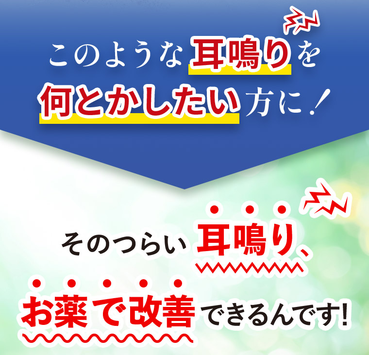 このような耳鳴りを何とかしたい方に！そのつらい耳鳴りお薬で改善できるんです！