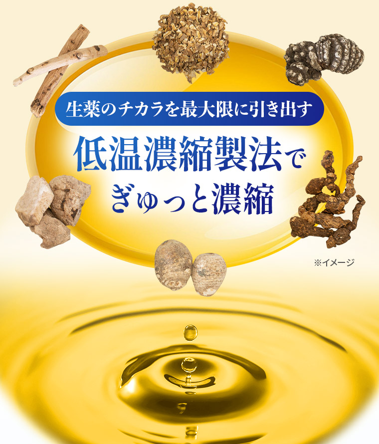 生薬のチカラを最大限に引き出す低温濃縮製法でぎゅっと濃縮