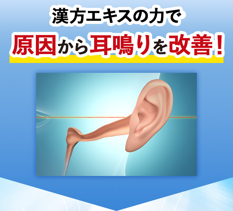 漢方エキスの力で原因から耳鳴りを改善！