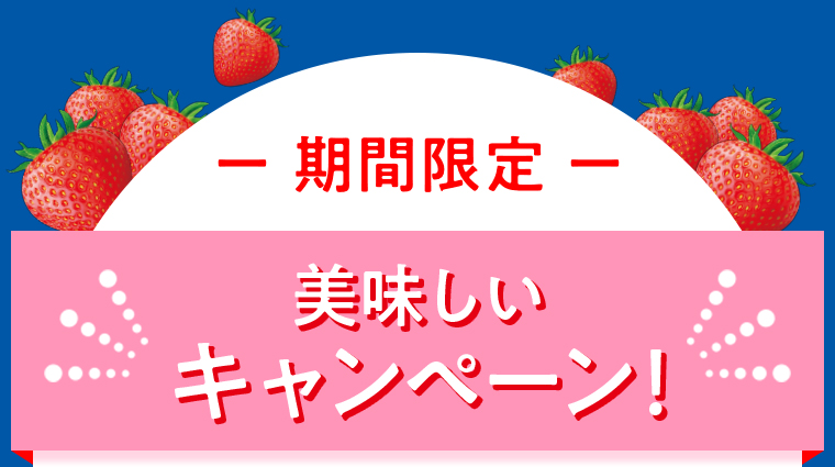 期間限定 美味しいキャンペーン！