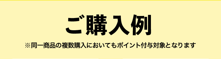 ご購入例