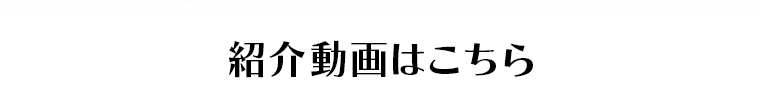 紹介動画はこちら