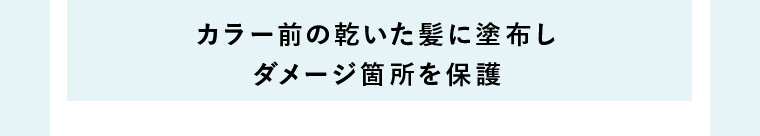 カラー前の乾いた髪に塗布しダメージ箇所を保護