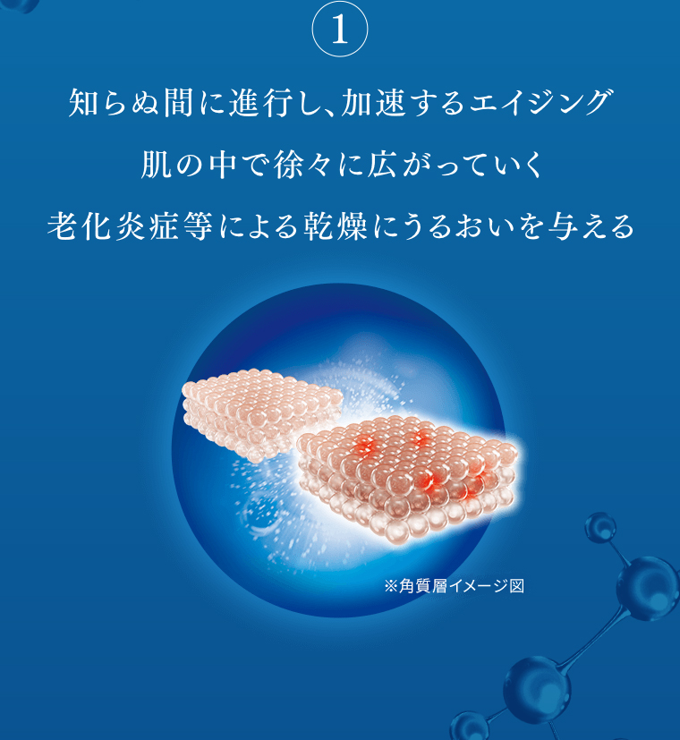 知らぬ間に進行し、加速するエイジング 肌の中で徐々に広がっていく 老化炎症等による乾燥にうるおいを与える