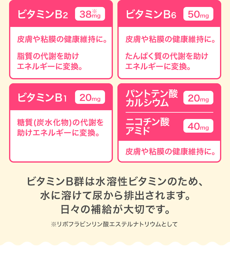 ビタミンB群は水溶性ビタミンのため、水に溶けて尿から排出されます。日々の補給が大切です。