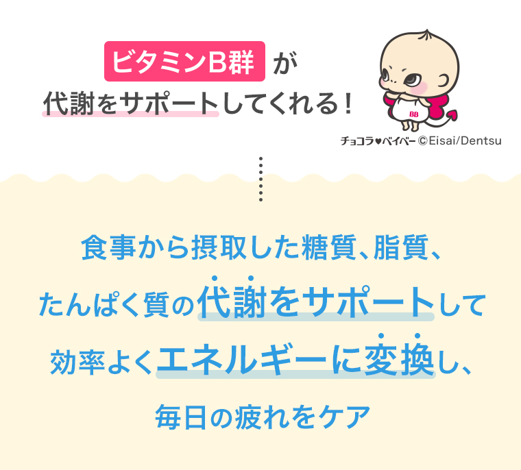 食事から摂取した糖質、脂質、たんぱく質の代謝をサポートして効率よくエネルギーに変換し、毎日の疲れをケア
