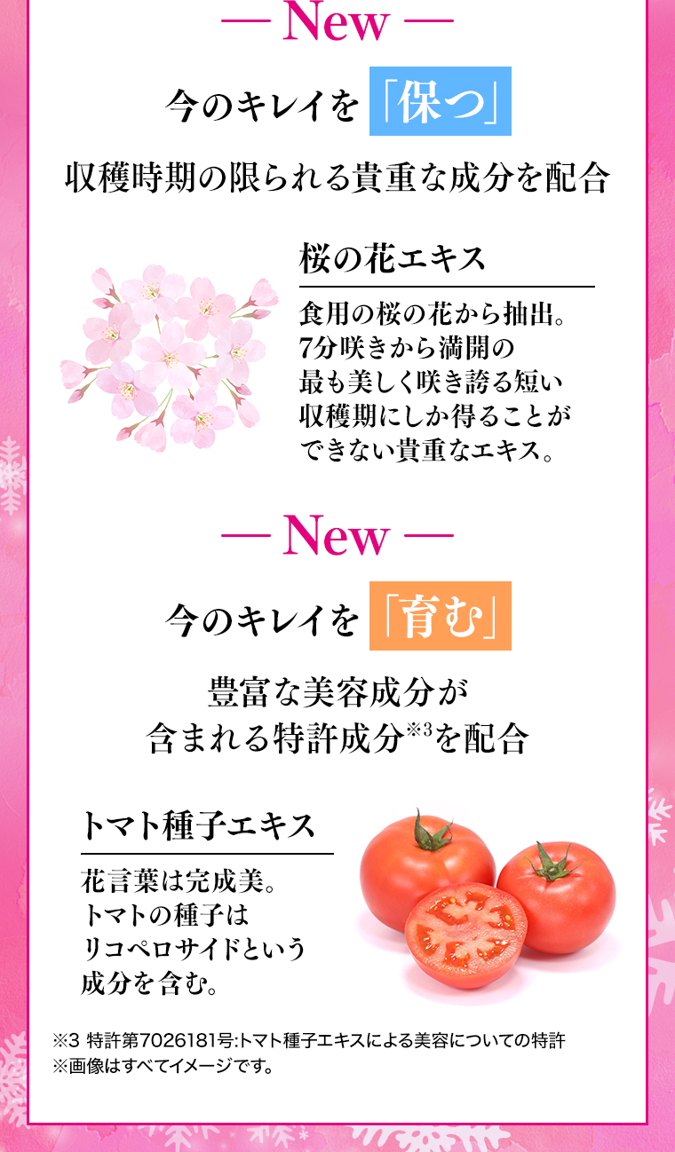 今のキレイを保つ 今のキレイを育む