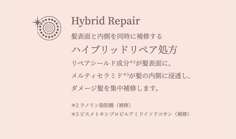 ハイブリッドリペア処方