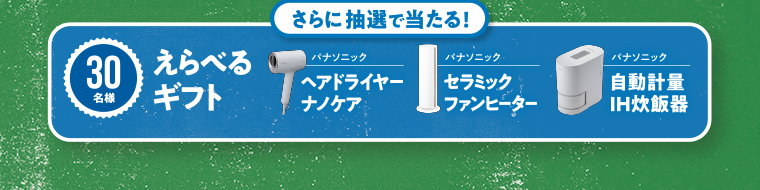 dポイント 1.000pt