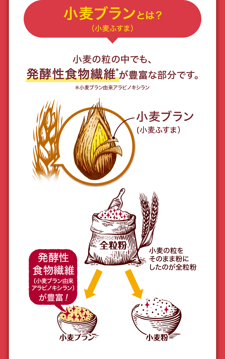 小麦ブラン(小麦ふすま)とは?小麦の粒の中でも、発酵性食物繊維が豊富な部分です*小麦ブラン由来アラビノキシラン 