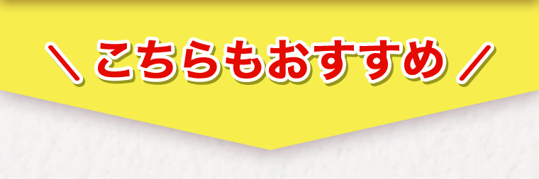 \こちらもおすすめ!/