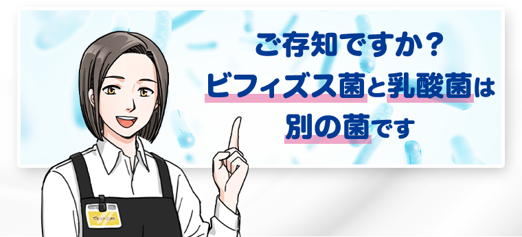ビフィズス菌と乳酸菌は別の菌です