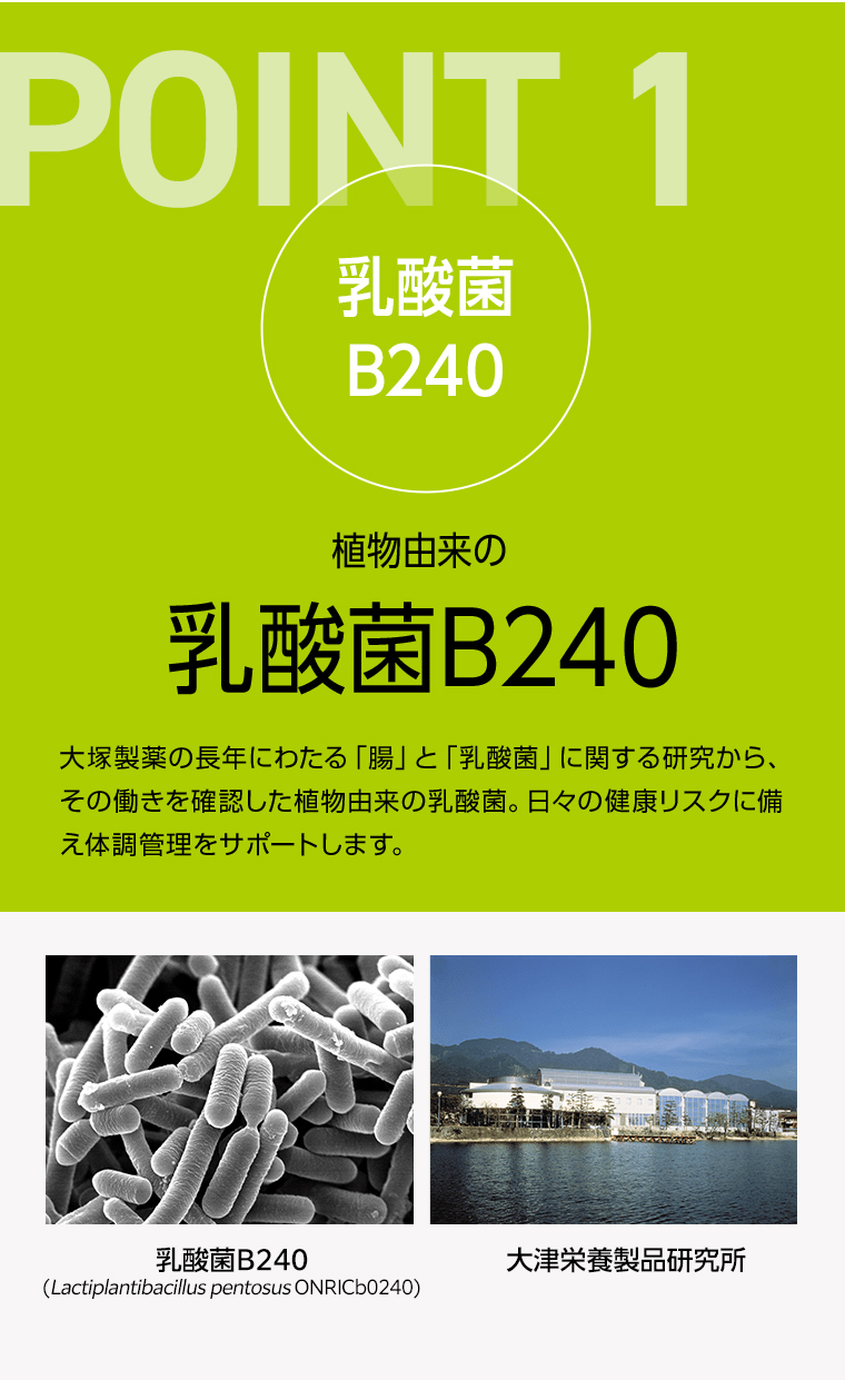 POINT01 乳酸菌B240