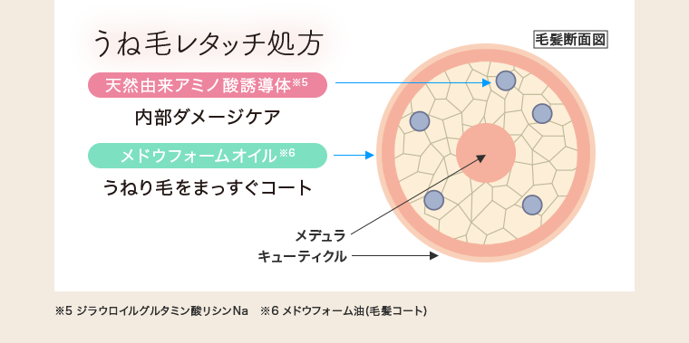 うね毛レタッチ処方