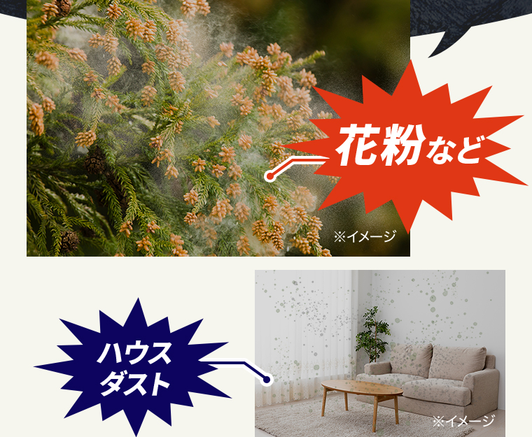 「花粉など」「ハウスダスト」※イメージ