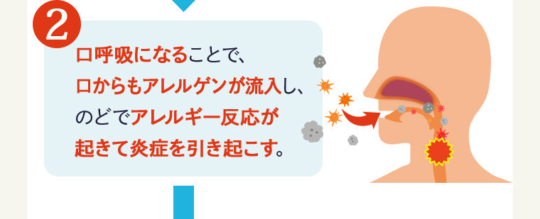 ②口呼吸になることで、口からもアレルゲンが流入し、のどでアレルギー反応が起きて炎症を引き起こす。