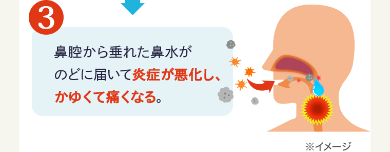 ③鼻腔から垂れた鼻水がのどに届いて炎症が悪化し、かゆくて痛くなる。