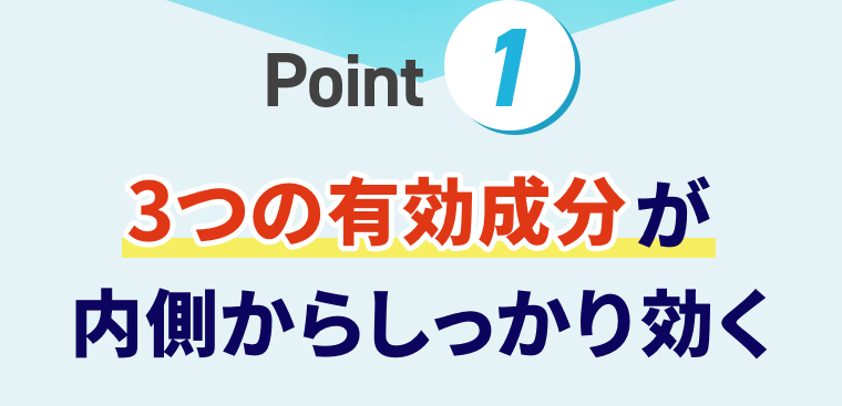 point①3つの有効成分が内側からしっかり効く