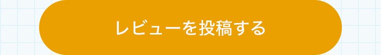 レビューを投稿する