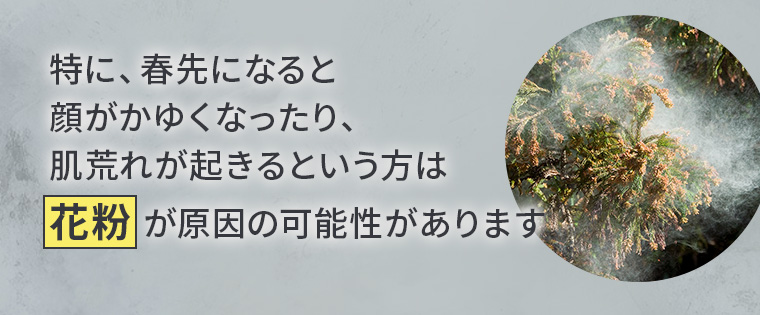 特に、春先になると顔がかゆくなったり、肌荒れが起きるという方は花粉が原因の可能性があります