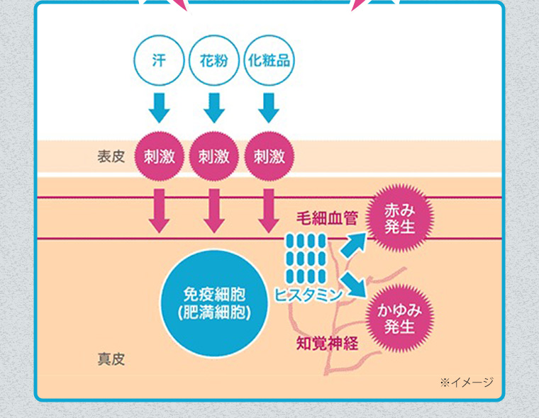 ※イメージ