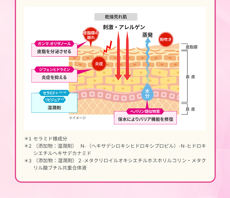 ※イメージ