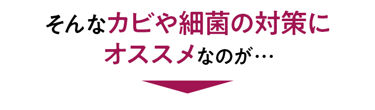 そんなカビや細菌の対策にオススメなのが…