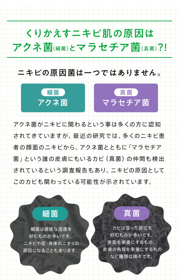 くりかえすニキビ肌の原因はアクネ菌とマラセチア菌？！
