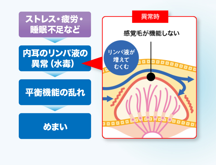 【異常時】感覚毛が機能しない。
