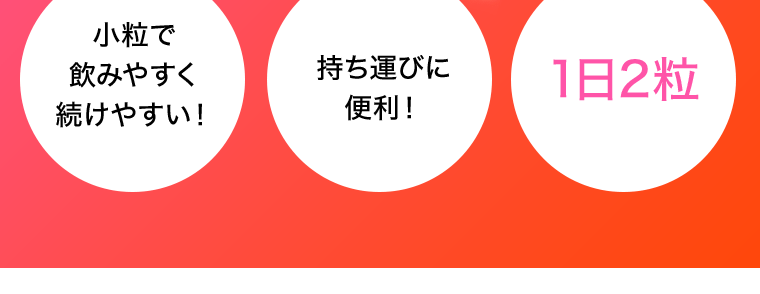 小粒で飲みやすく続けやすい！　持ち運びに便利！　1日2粒
