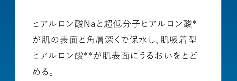 ヒアルロン酸Naと超低分子ヒアルロン酸*が肌の表面と角層深くで保水し、肌吸着型ヒアルロン酸**が肌表面にうるおいをとどめる。